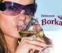 Debreceni Borkarnevál 2013