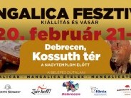 Debreceni Mangalica Fesztivál