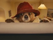 Paddington - Paddington