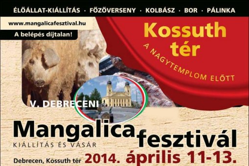 Debreceni Mangalica Fesztivál 2014  - Mangalica Fesztivál