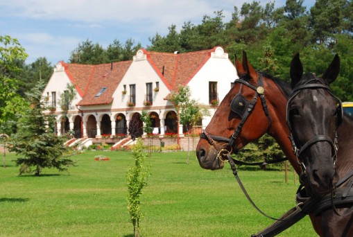   - Erdőspuszta Club Hotel Arbo Vendégház Debrecen